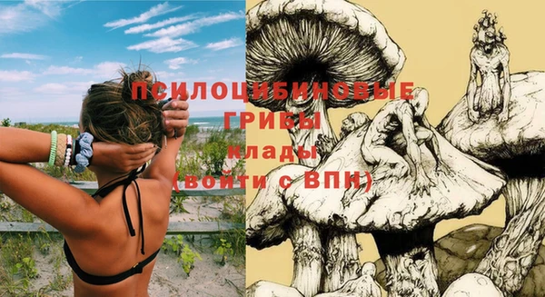 мяу мяу мука Абдулино